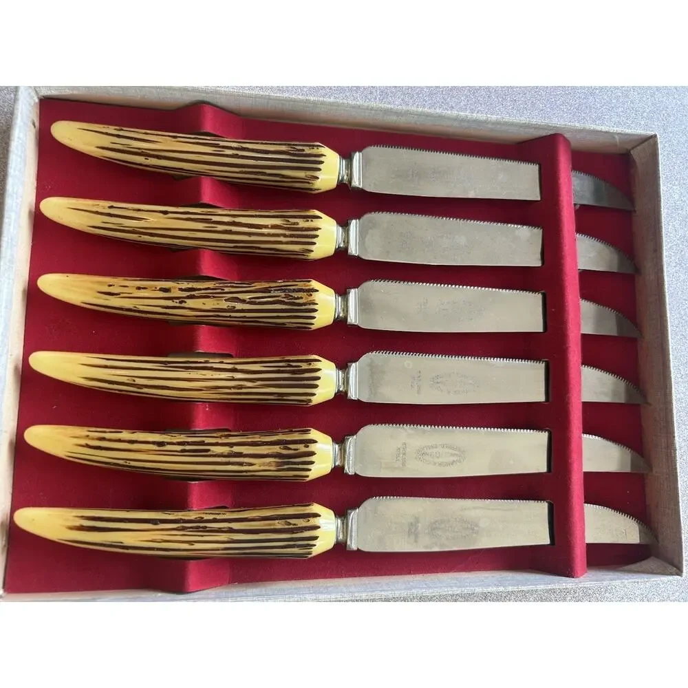 Vintage E. Parker & Sons Sheffield England Steak Knife Set 6 Pc 3709 Faux Bone